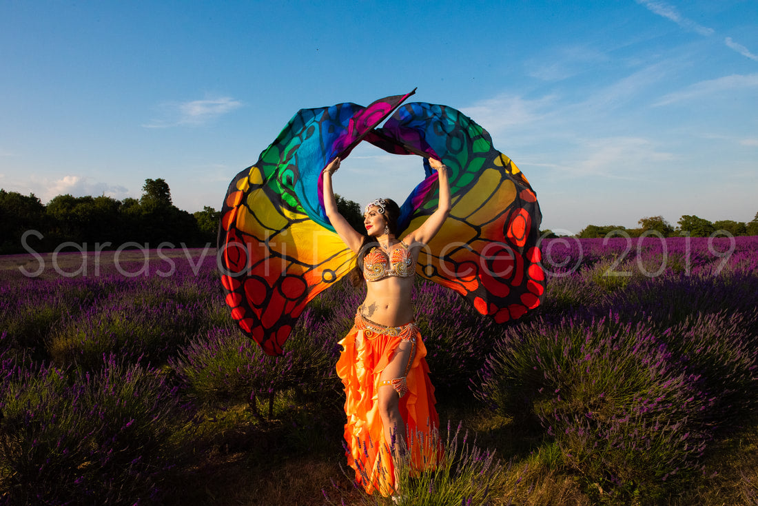 Person with colorful wings standing in a lavender field